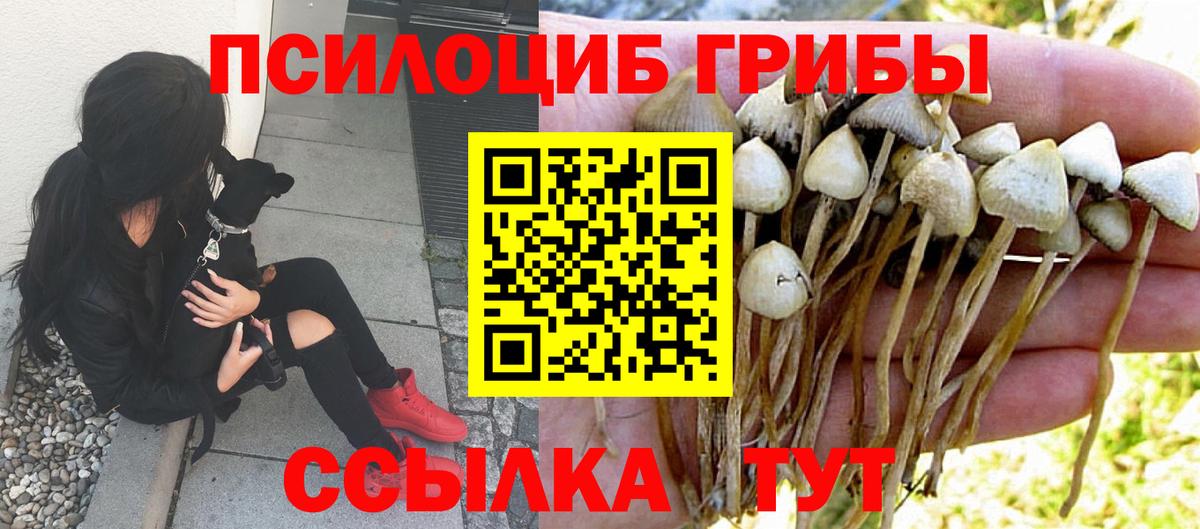 Псилоцибиновые грибы мицелий  Галлюциногенные грибы MAGIC MUSHROOMS  Зима  Вход с VPN 